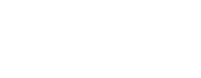BotNet Logo